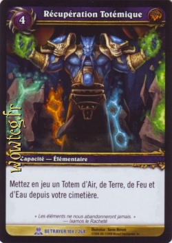 Récupération Totémique