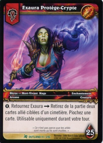 Exaura Protège-Crypte