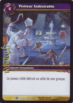 Visiteur Indésirable