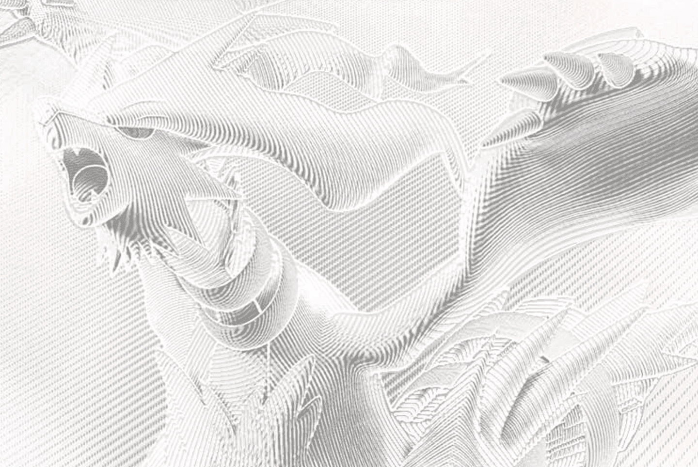 White Flare et Black Bolt : les B-W Rare se révèlent